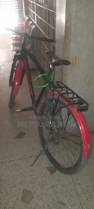 Old Bicycle Fresh Condition