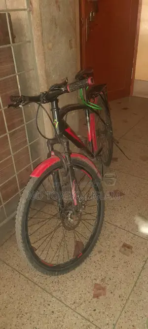 Old Bicycle Fresh Condition