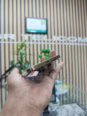 Apple iPhone 12 Pro Max 256 GB Rose Gold