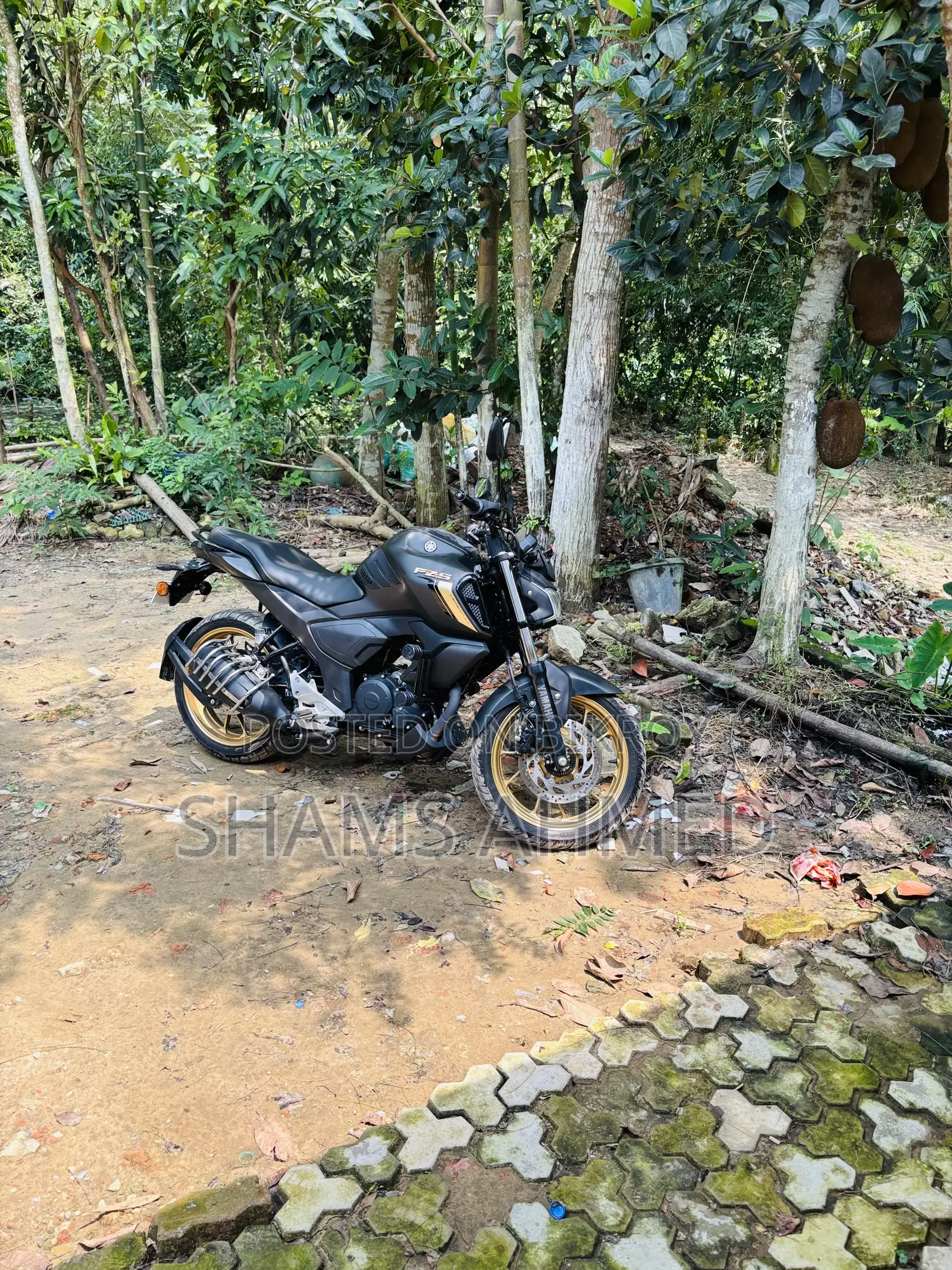Yamaha FZ 2025 Gray