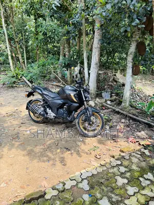 Yamaha FZ 2025 Gray