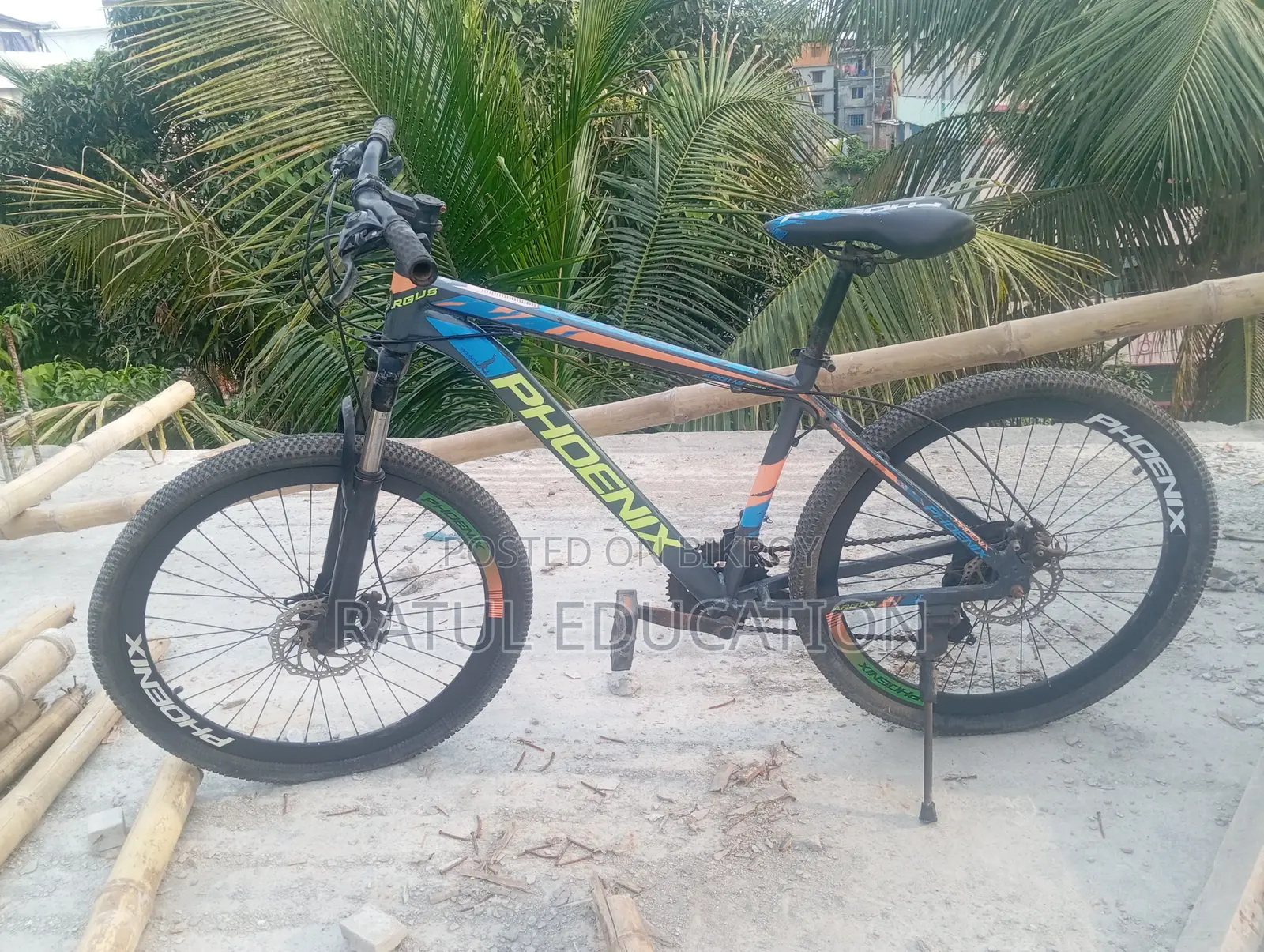 Phoenix Argus Cycle