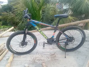 Phoenix Argus Cycle