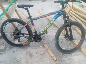Phoenix Argus Cycle