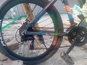 Phoenix Argus Cycle
