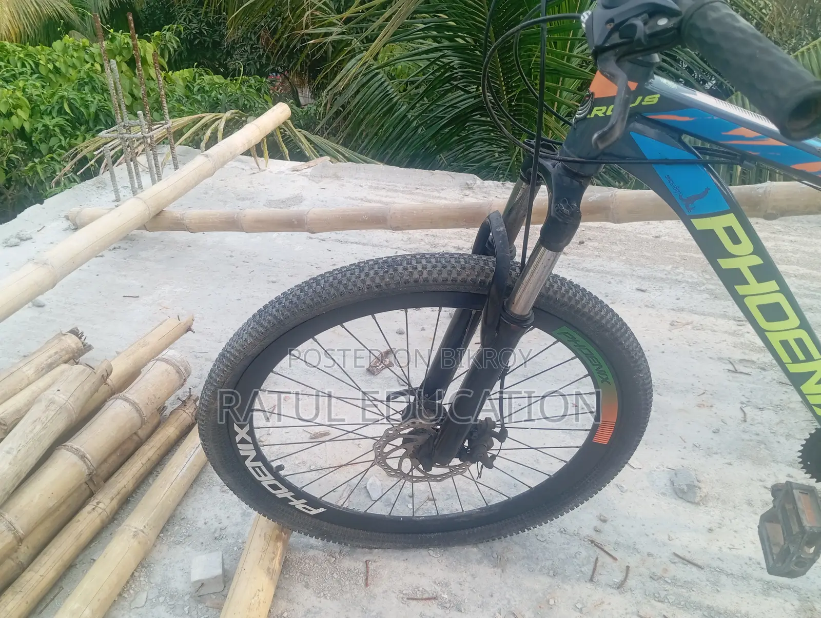 Phoenix Argus Cycle