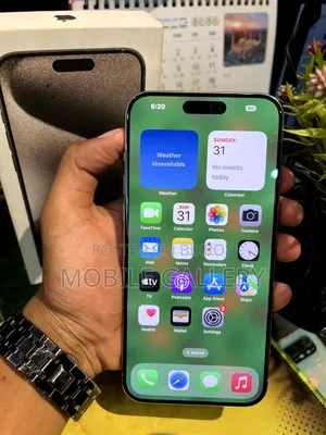 Apple iPhone 15 Pro Max 256 GB Silver