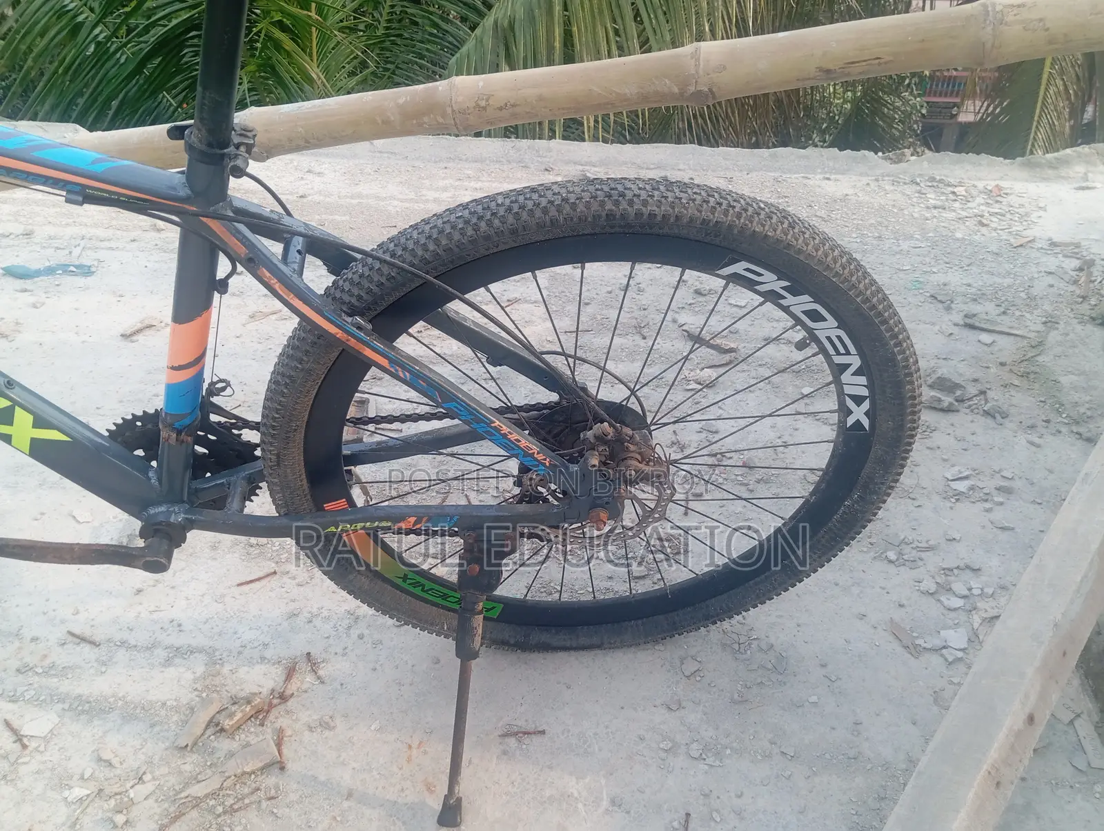 Phoenix Argus Cycle
