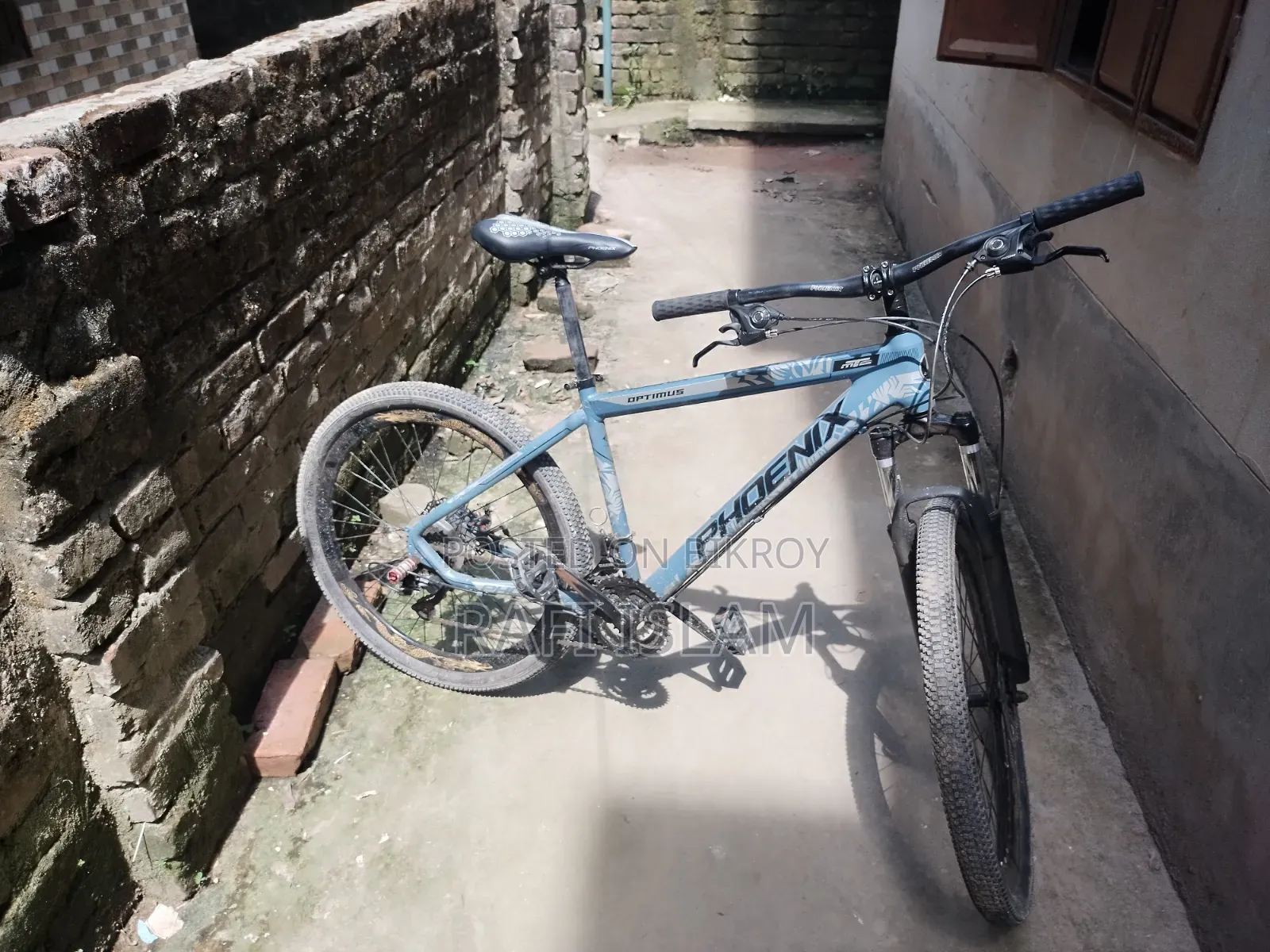 Phoenix Optimas MTB Cycle