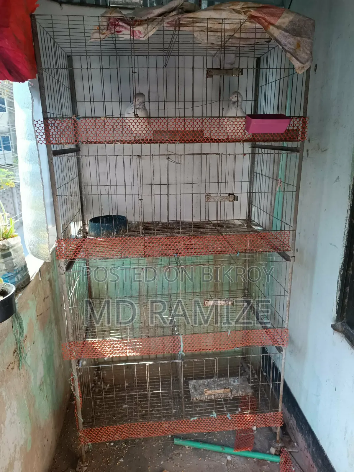 Cage for Birds or Fancy Chickens