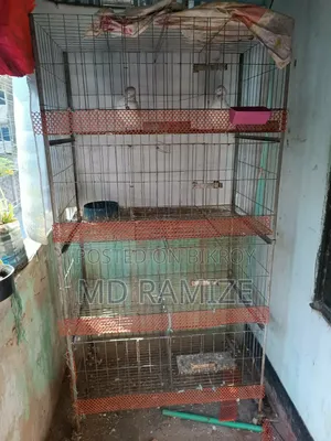 পাখি বা ফেনসী মুরগীর খাঁচা
