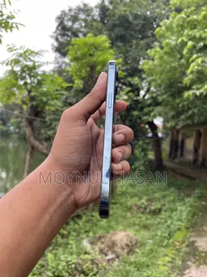 অ্যাপল আইফোন ১২ প্রো ম্যাক্স ২৫৬ জিবি ব্লু