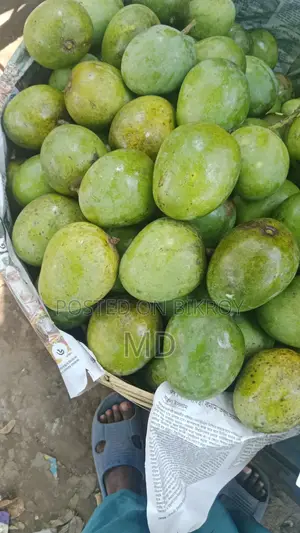 সাতক্ষীরার সুস্বাদু হিমসাগর আম