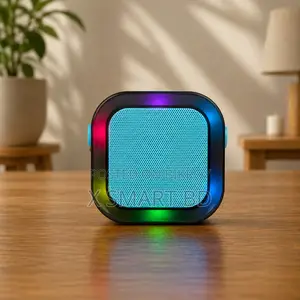 Wireless Portable Speaker With Microphone 2 Mic