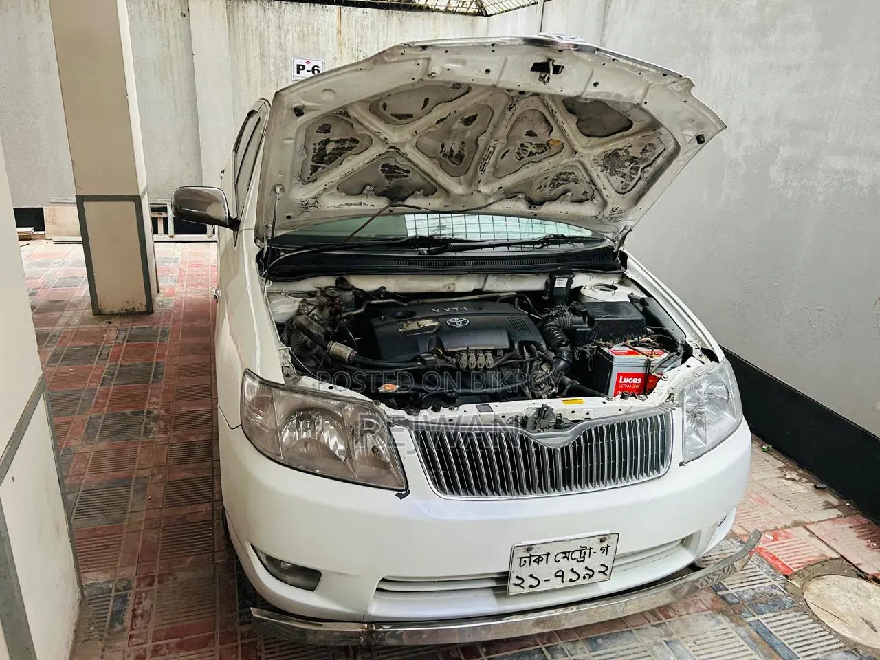 Toyota Corolla 2005 Pearl