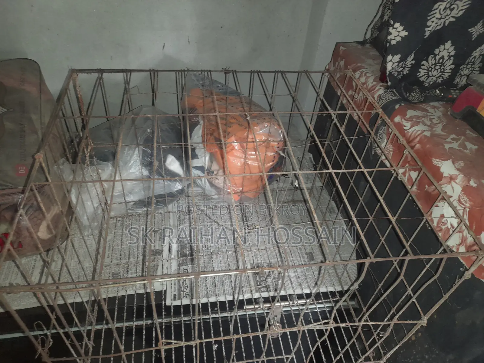 Special Offer | Pigeon Cage and Accessories for Sale