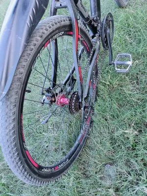 Bicycle full body is fresh.