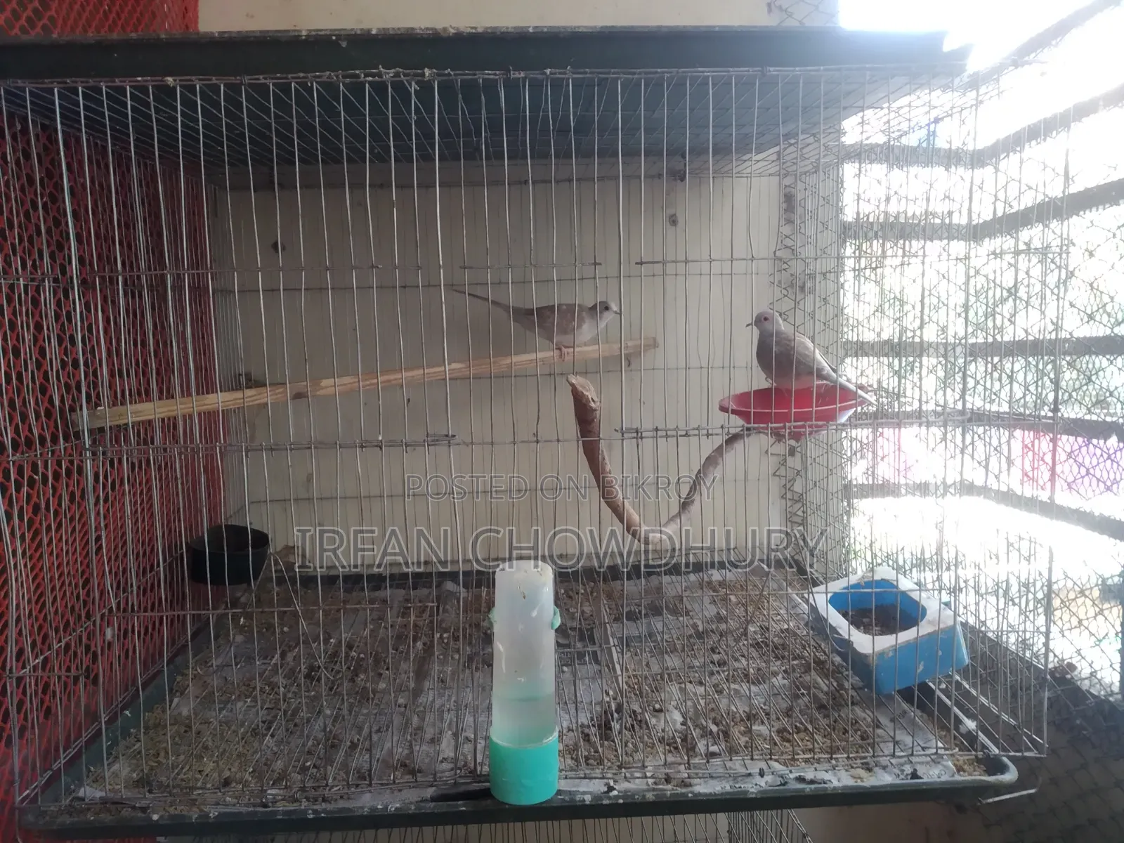 3 Piece Cage. 2 pieces have 18/24 partitions. 1 piece is 16/20, 18/12. Including tray.
