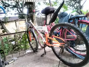Bicycle for Sell