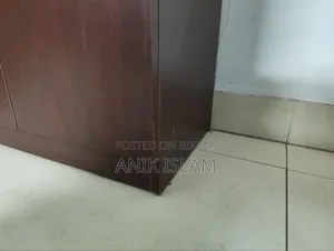 Shoe Cabinet