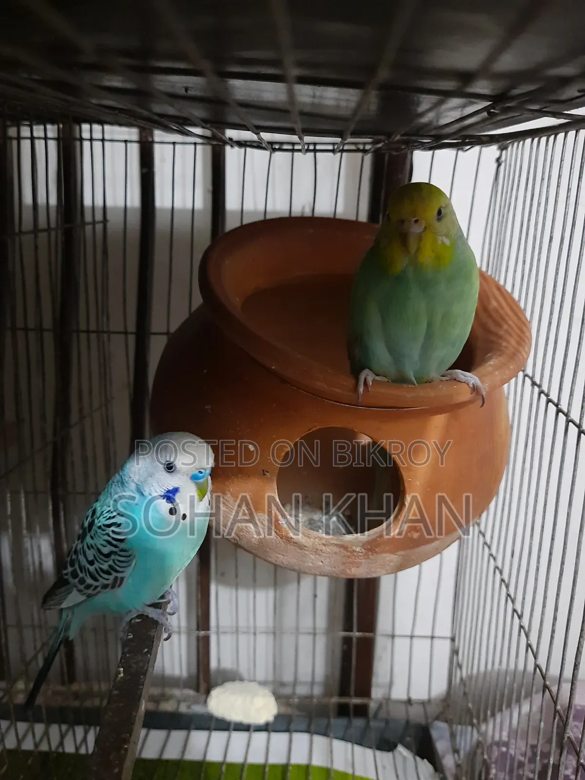 Full Running Bazi Pair