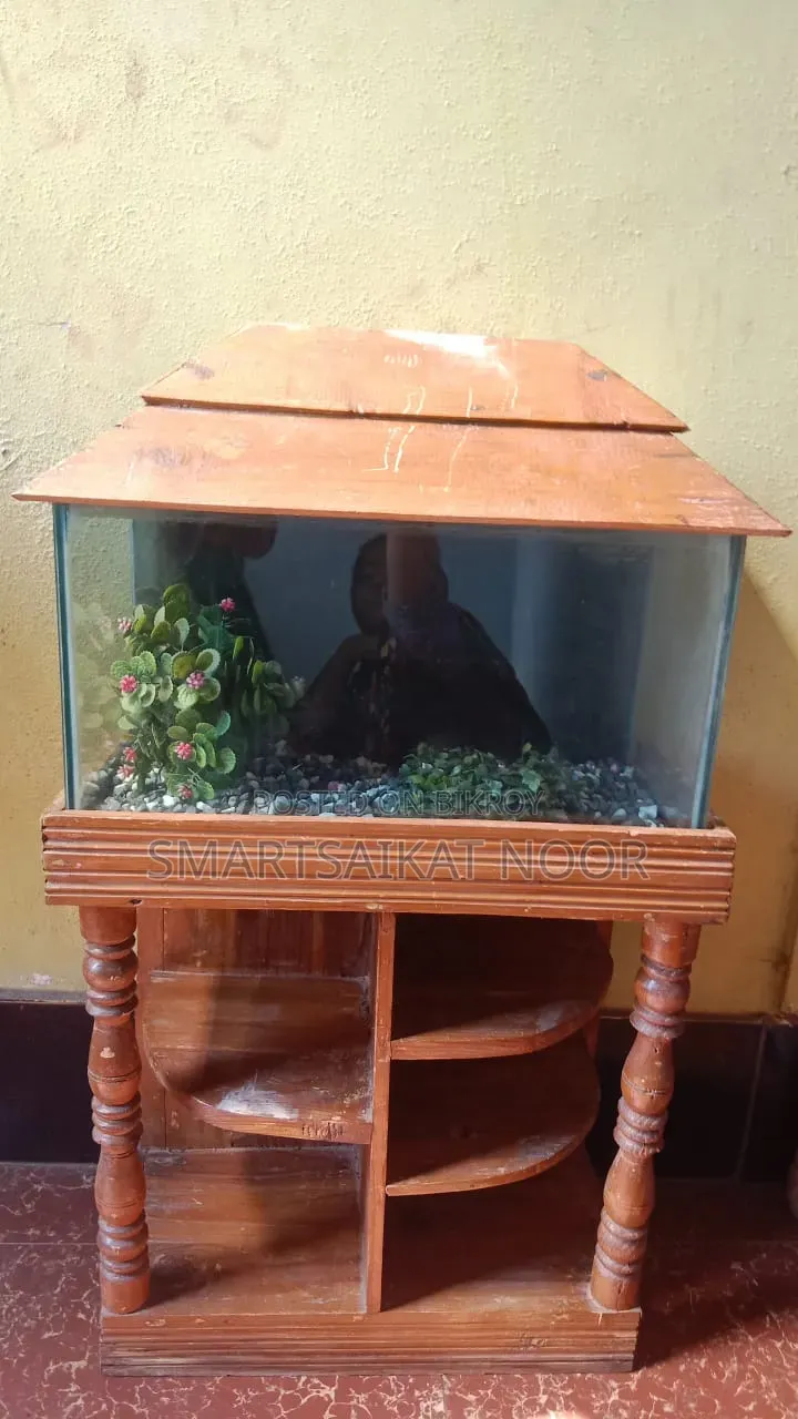 Used Aquarium