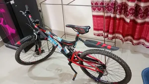 Prince Bicycle Non-Gear