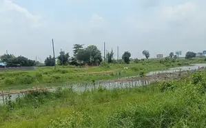 300ft Expressway 3 Katha West Sector-18