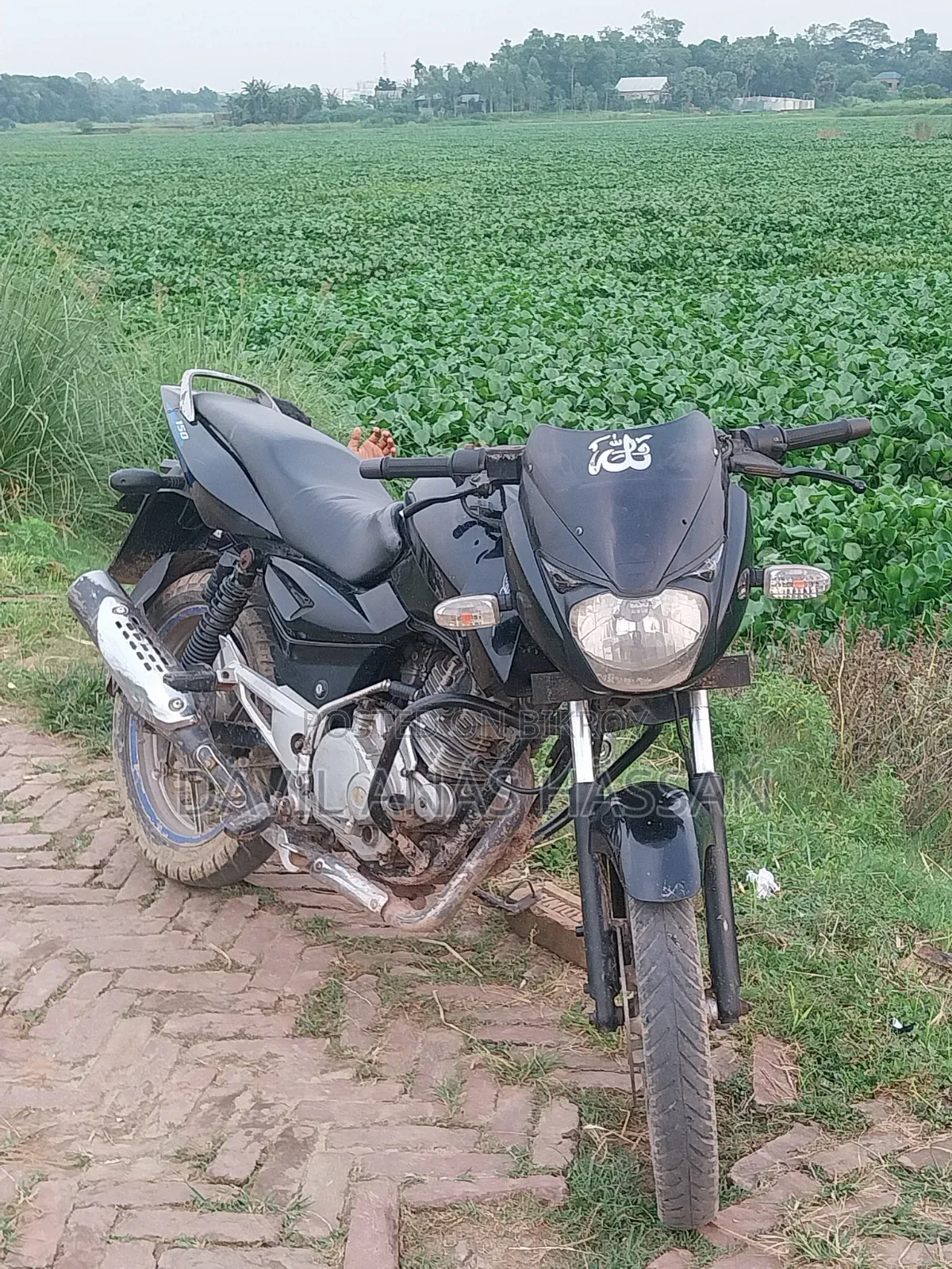 Bajaj Pulsar 150 2016 Black