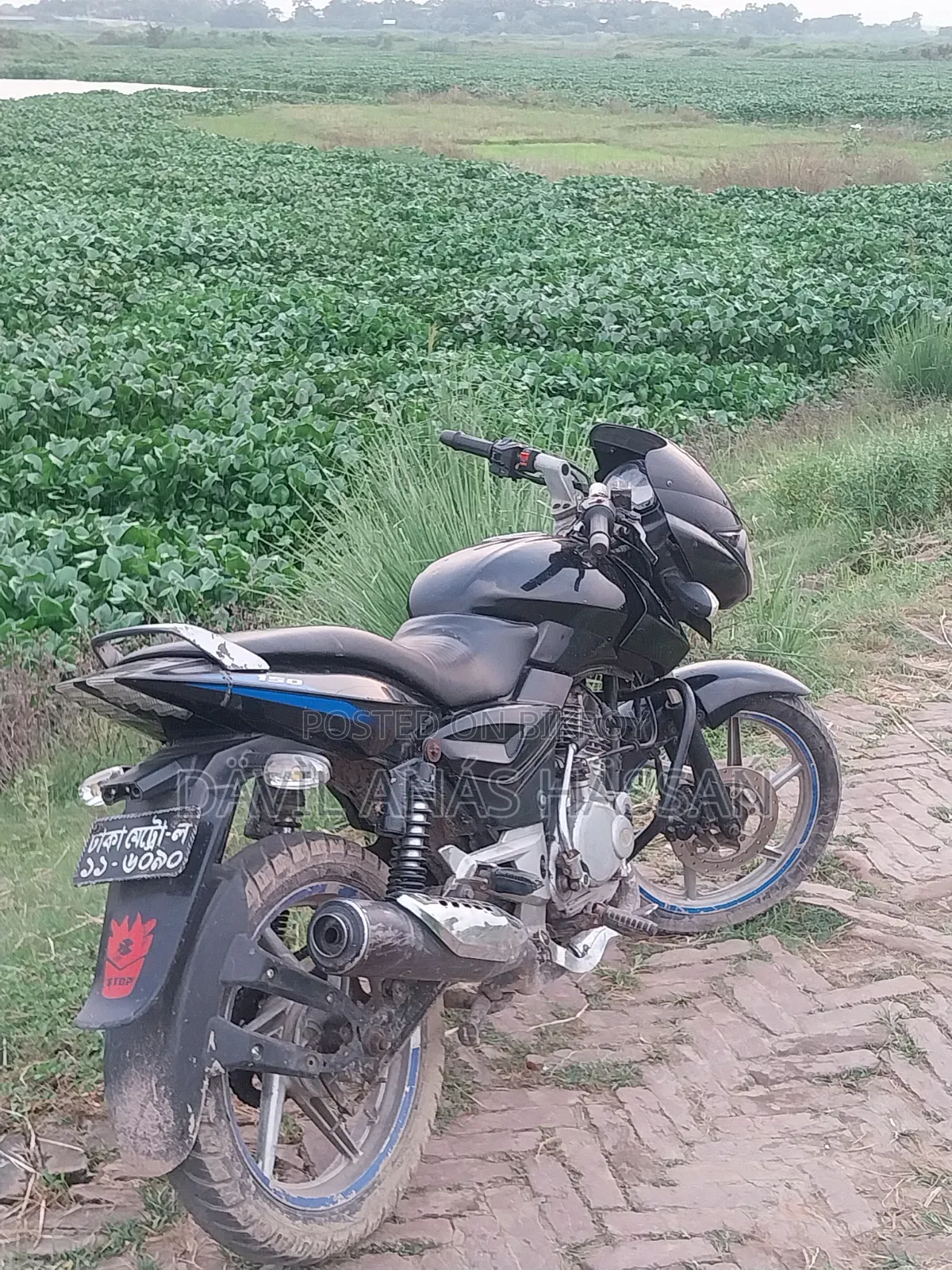 Bajaj Pulsar 150 2016 Black