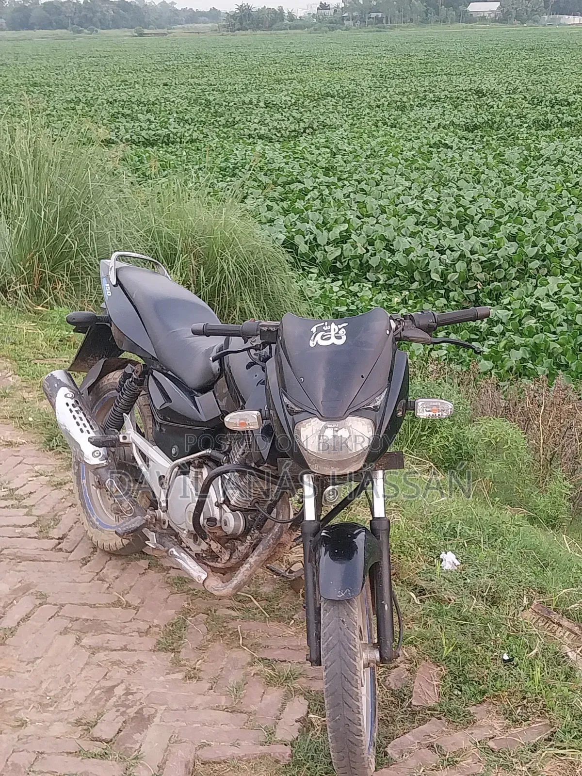Bajaj Pulsar 150 2016 Black