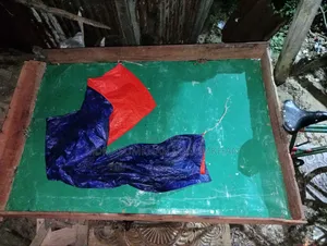 রাখার সমেস্যা