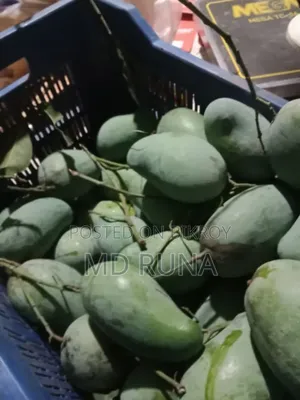 Gopalbhog, Himsagar Mango