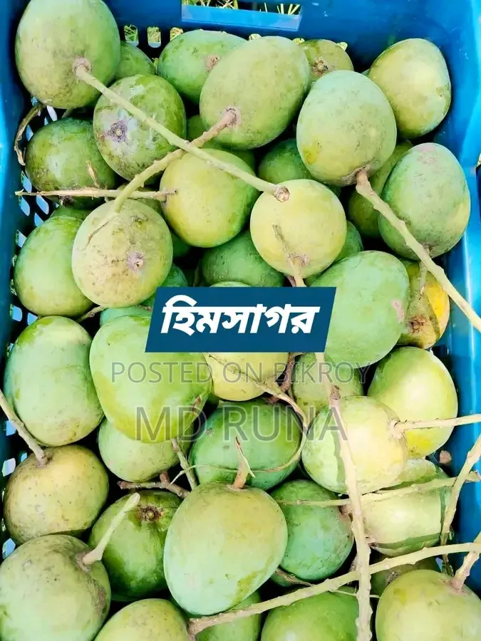 Gopalbhog, Himsagar Mango
