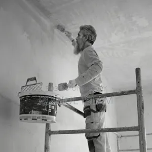 Professional House Painter