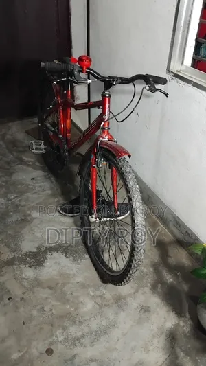 প্রিন্স সাইকেল