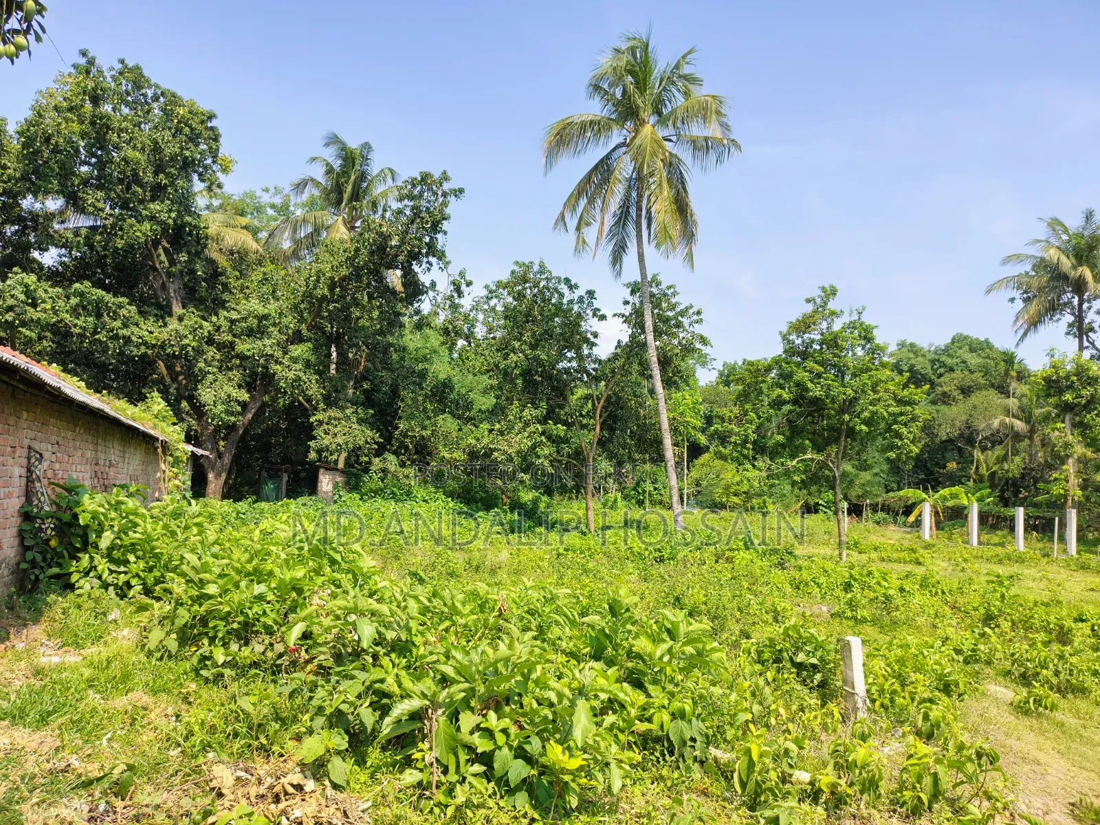 Land in Ramdebpur Mouja