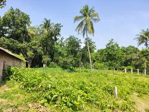 Land in Ramdebpur Mouja