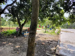 Land in Ramdebpur Mouja