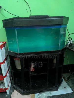 অ্যাকুরিয়াম ফিশ ট্যাংক