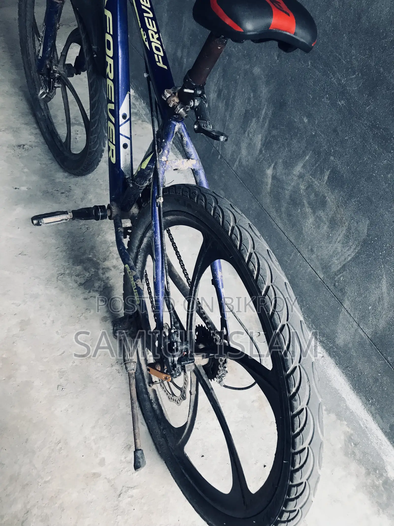 Forever Cycle
