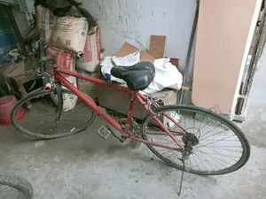 Racing Cycle