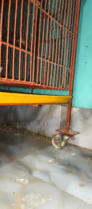 Five-story bird cage for sale