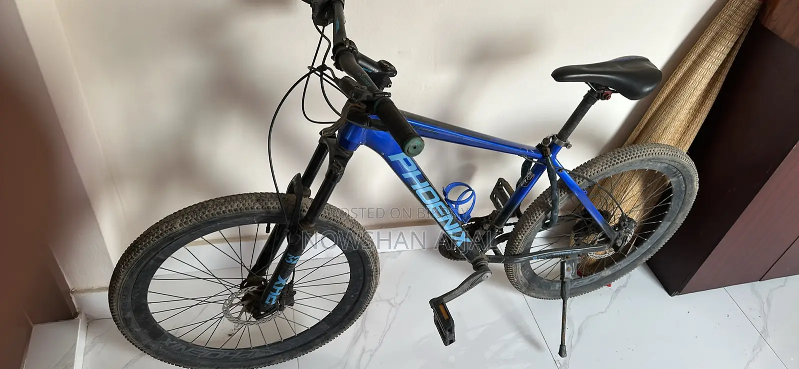 Phonex Cycle