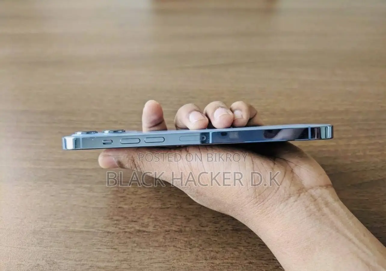 অ্যাপল আইফোন ১৩ প্রো ম্যাক্স ২৫৬ জিবি নীল