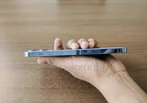 অ্যাপল আইফোন ১৩ প্রো ম্যাক্স ২৫৬ জিবি নীল