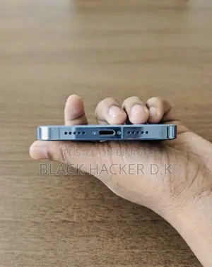 অ্যাপল আইফোন ১৩ প্রো ম্যাক্স ২৫৬ জিবি নীল