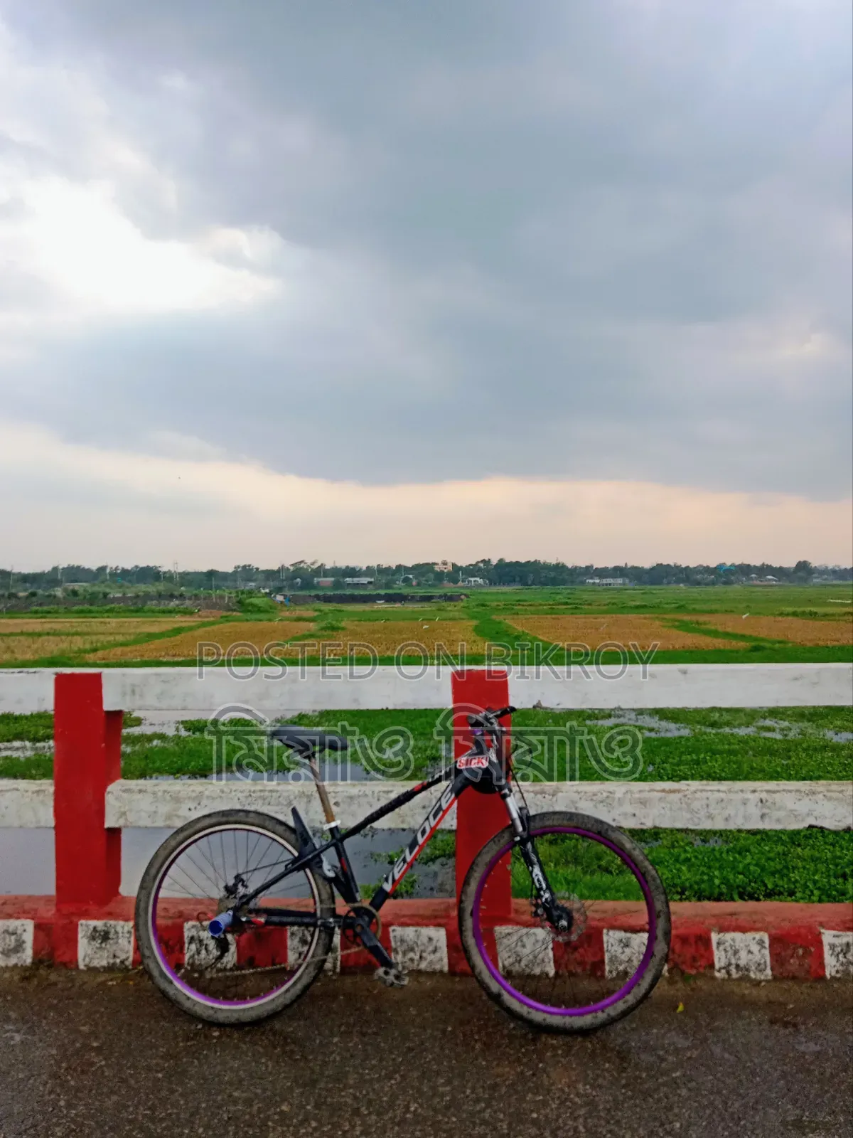 স্টান্ট সাইকেল বিক্রি