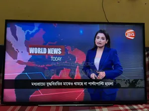 Sony 48" TV