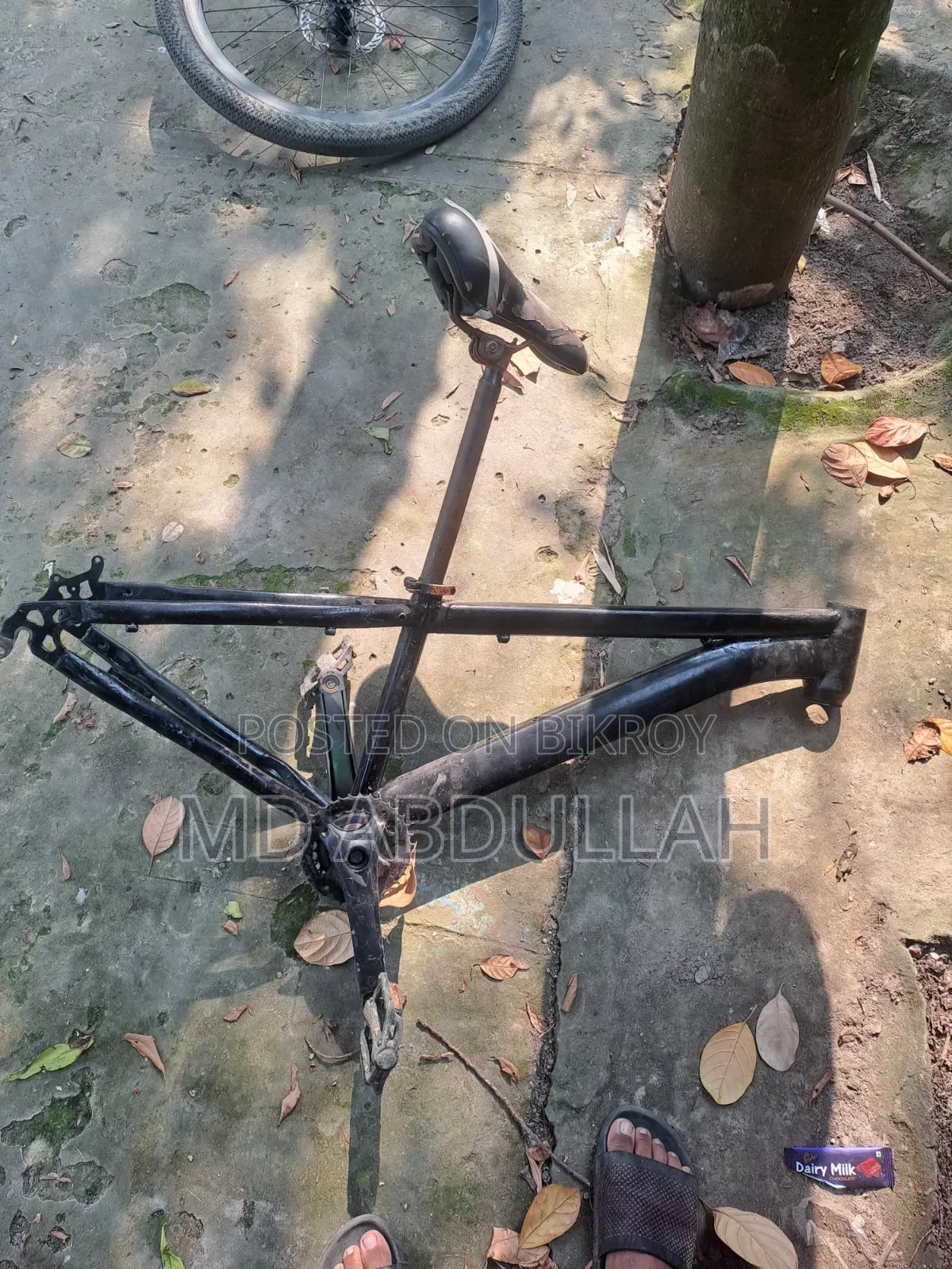 Cycle Frame
